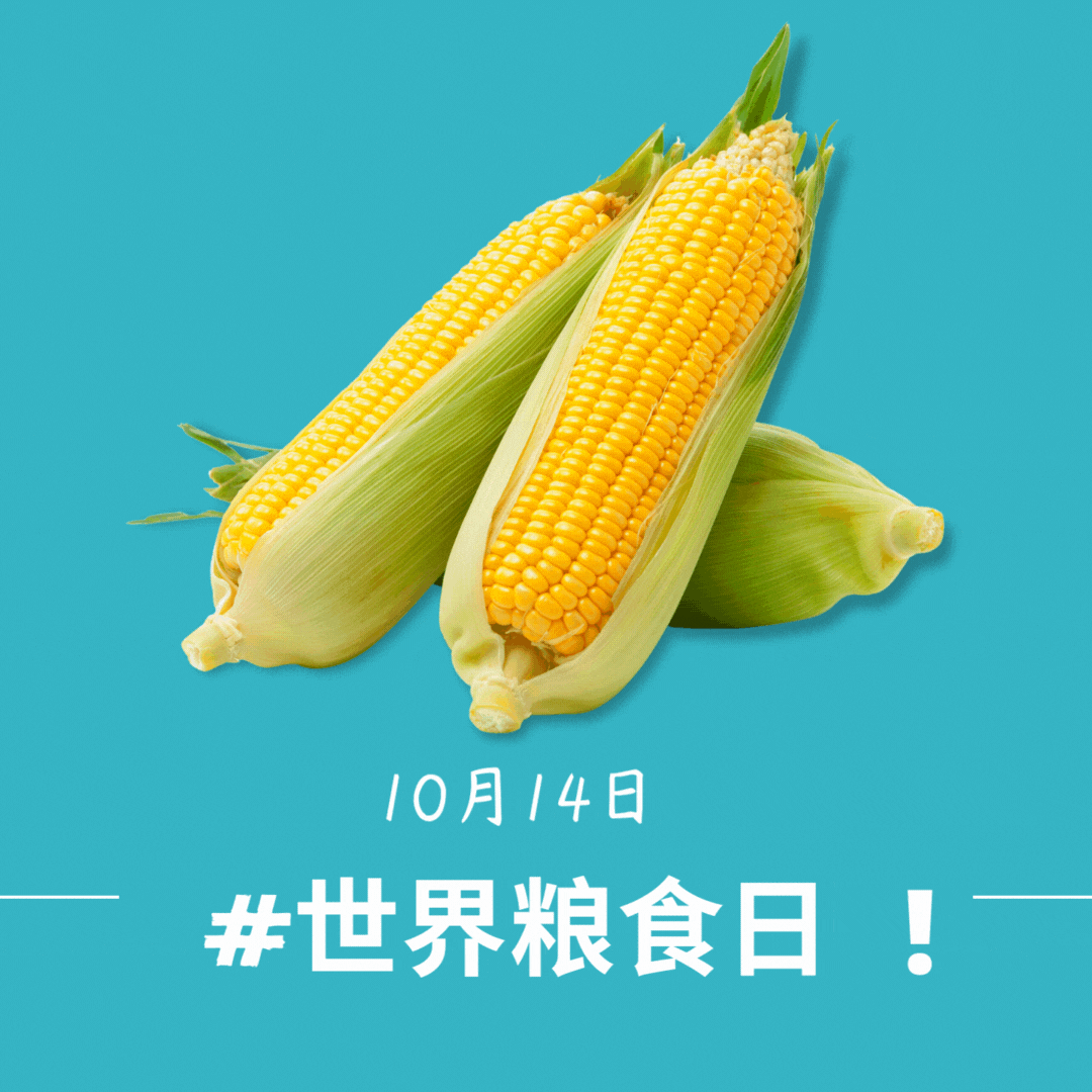 微信圖片_20221110143521.gif 微信圖片_20221110143521.gif